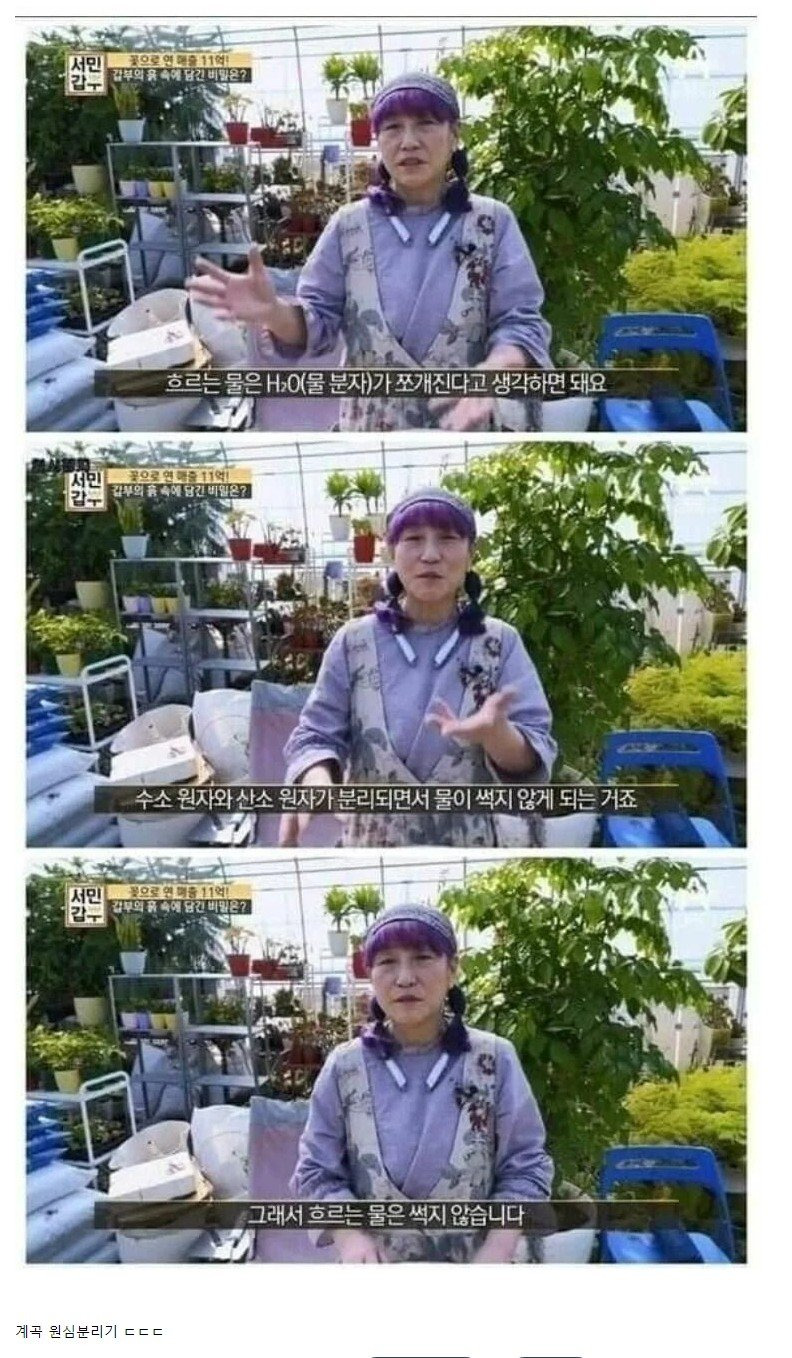몰랐던 흐르는 물이 썩지 않는 이유 | 인스티즈
