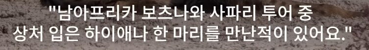 인간외에 자살을 선택하는 동물이 있을까? | 인스티즈