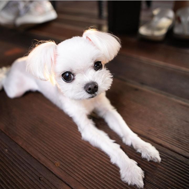 07d1f781c88d500bc7153d20a8655b425d6cc71a