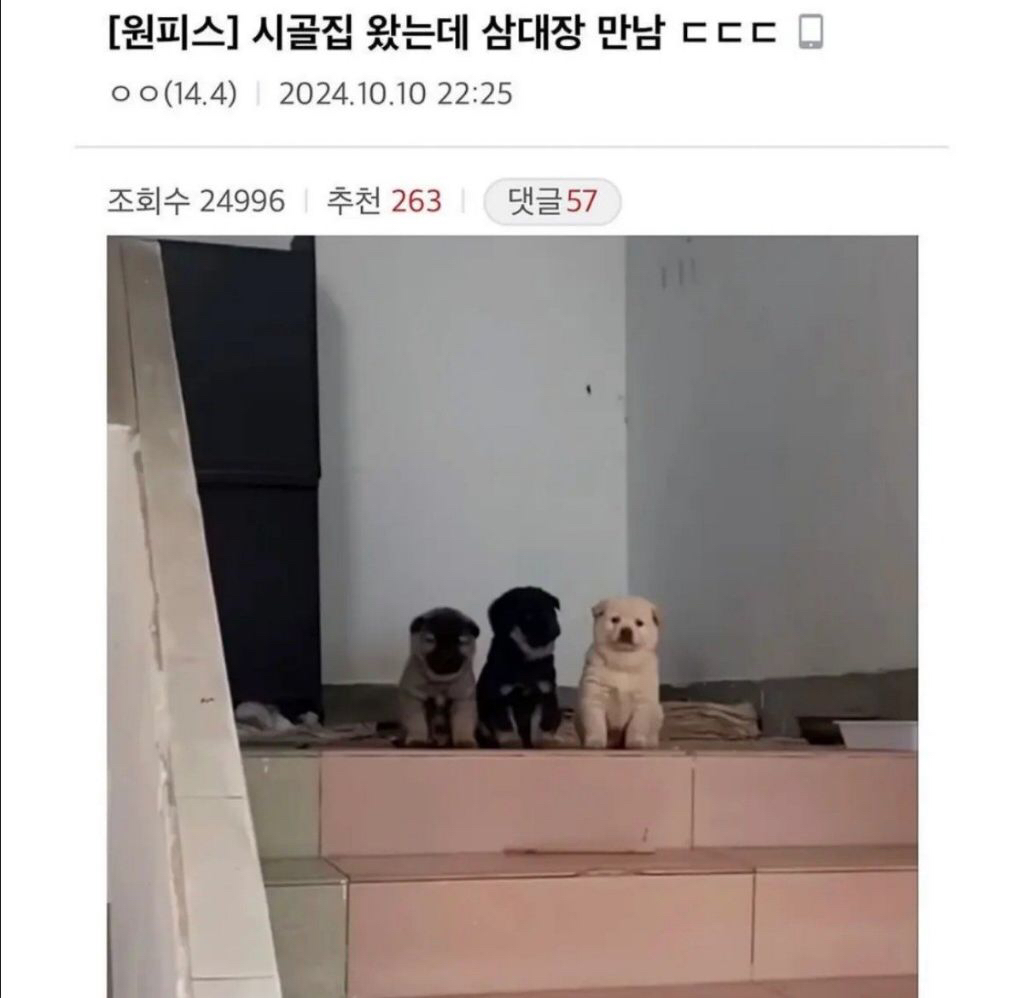 시골집 삼대장 | 인스티즈