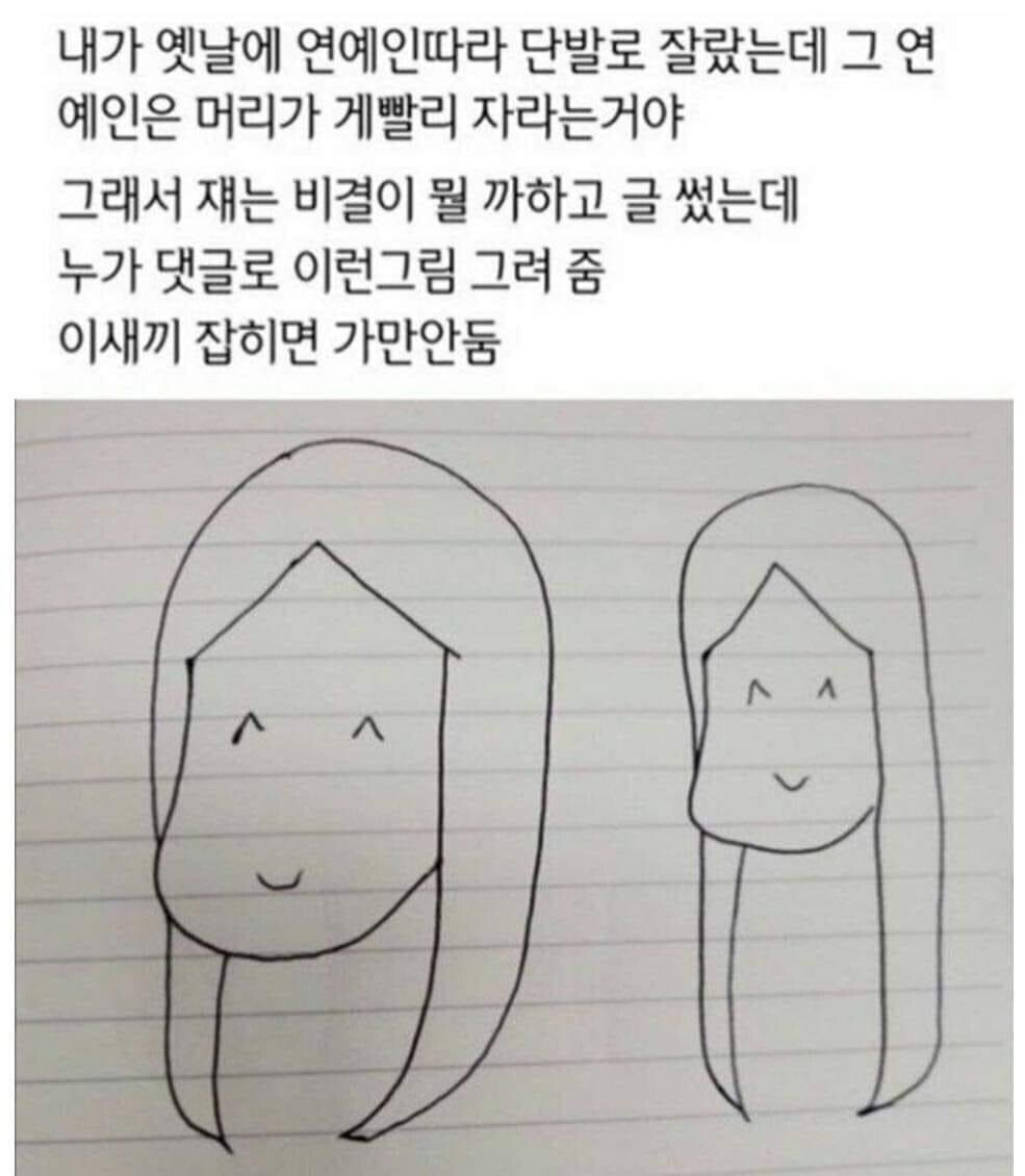 연예인 머리가 빨리 자라는 이유 | 인스티즈