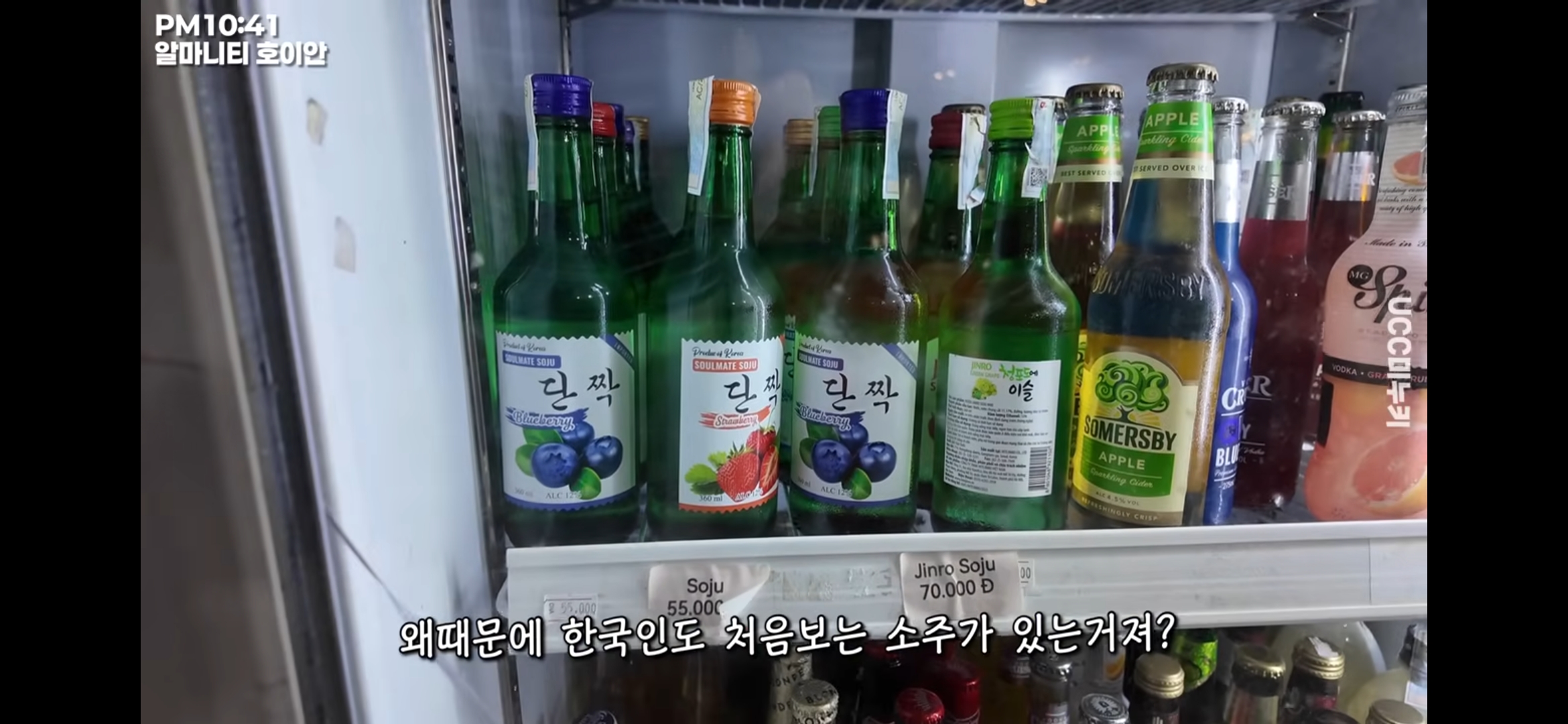 여행 유튜버가 베트남 호이안에 갔다가 마주한 불륜 현장(?) | 인스티즈