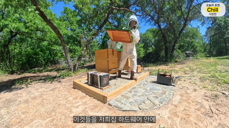 양봉 시작한 올리버쌤 근황.jpg | 인스티즈