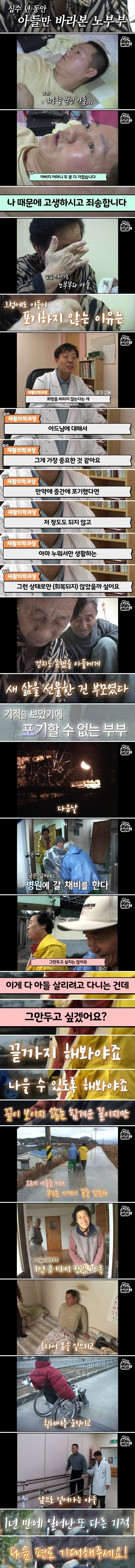 건장한 아들을 매일 휠체어에 태우고 어디론가 가는 부부 | 인스티즈