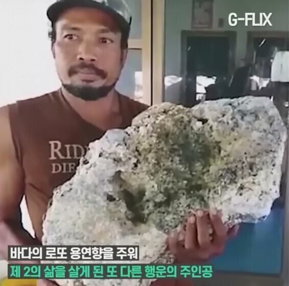 해안가 갔을때 유심히 잘 살펴봐야하는 이유 | 인스티즈