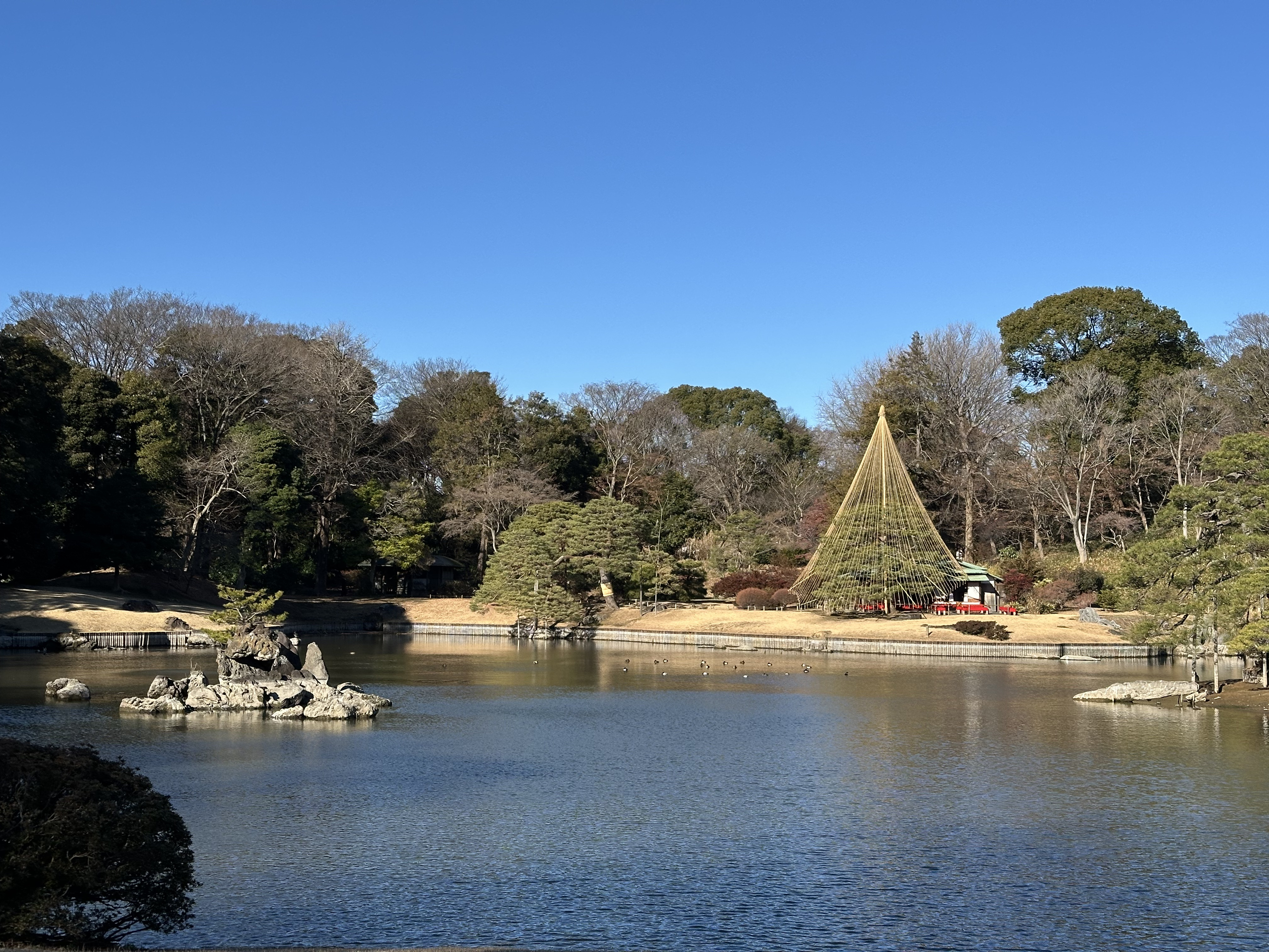 해외무지렁이의 도쿄 4박5일 여행 후기-4(完) | 인스티즈