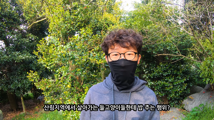 [사진100장스압] 고양이가 자연생태계에 끼치는 심각한 영향 | 인스티즈