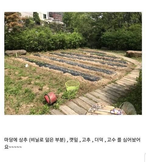 캣맘과 달리 동정받는 것 | 인스티즈