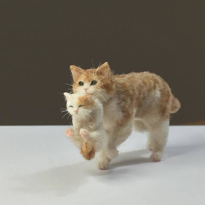 수공예 명품 고양이 | 인스티즈
