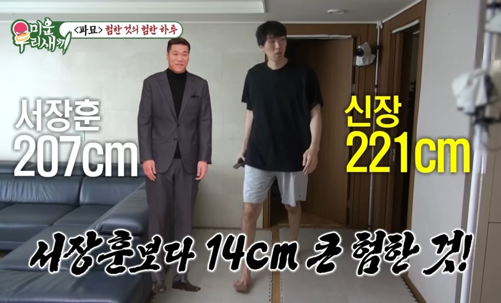 키 2미터 넘는 연예인들이 키우는 강아지...jpg | 인스티즈