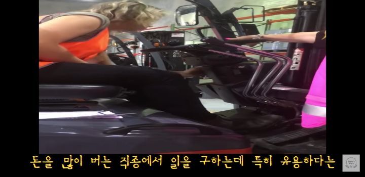 만 19살, 호주 워홀 가서 지게차로 월 500 번 유튜버 | 인스티즈