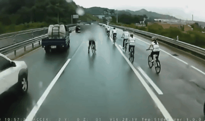 자라니 레전드.gif | 인스티즈