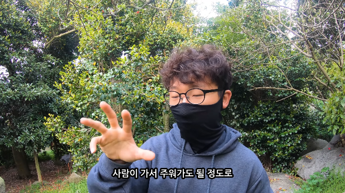 [사진100장스압] 고양이가 자연생태계에 끼치는 심각한 영향 | 인스티즈