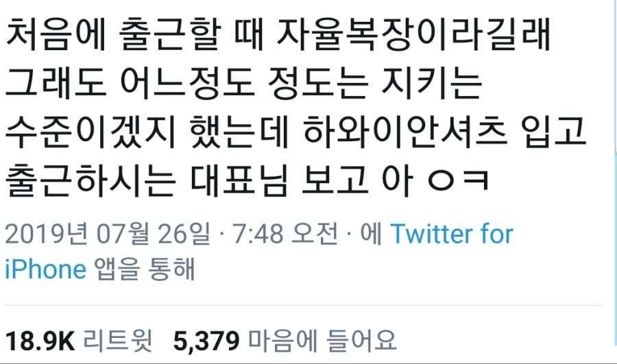 회사 자율복장 | 인스티즈