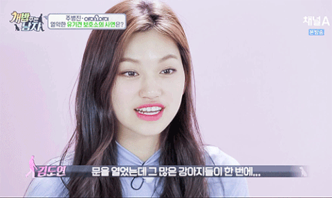 본인이 아이오아이에서 제일 좋아한 최애 멤버는? | 인스티즈