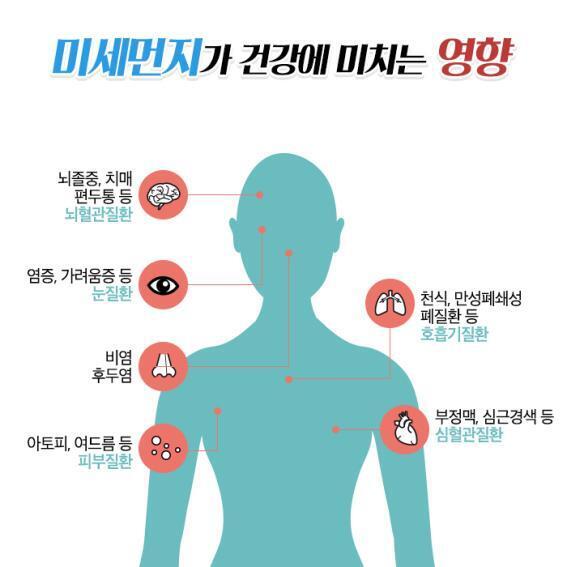 미세먼지가 건강에 미치는 영향 | 인스티즈