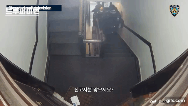미국 경찰이 진짜 위험한 이유.gif | 인스티즈
