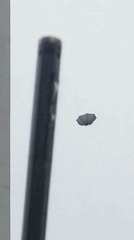 다이소우산 위엄 | 인스티즈