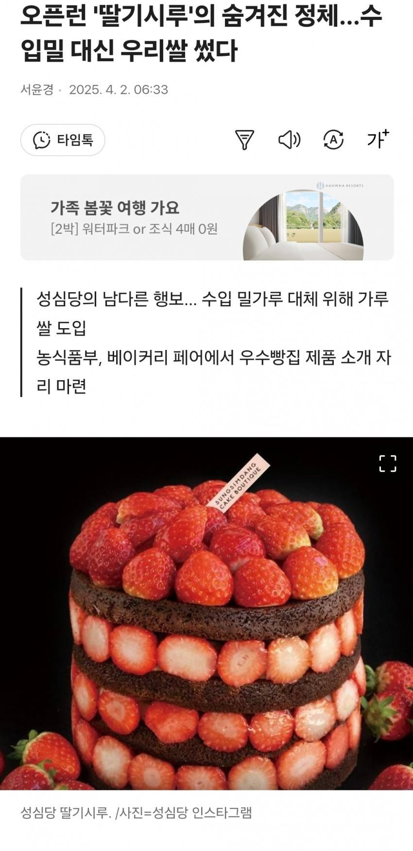 성심당 딸기시루 시트의 비밀 | 인스티즈