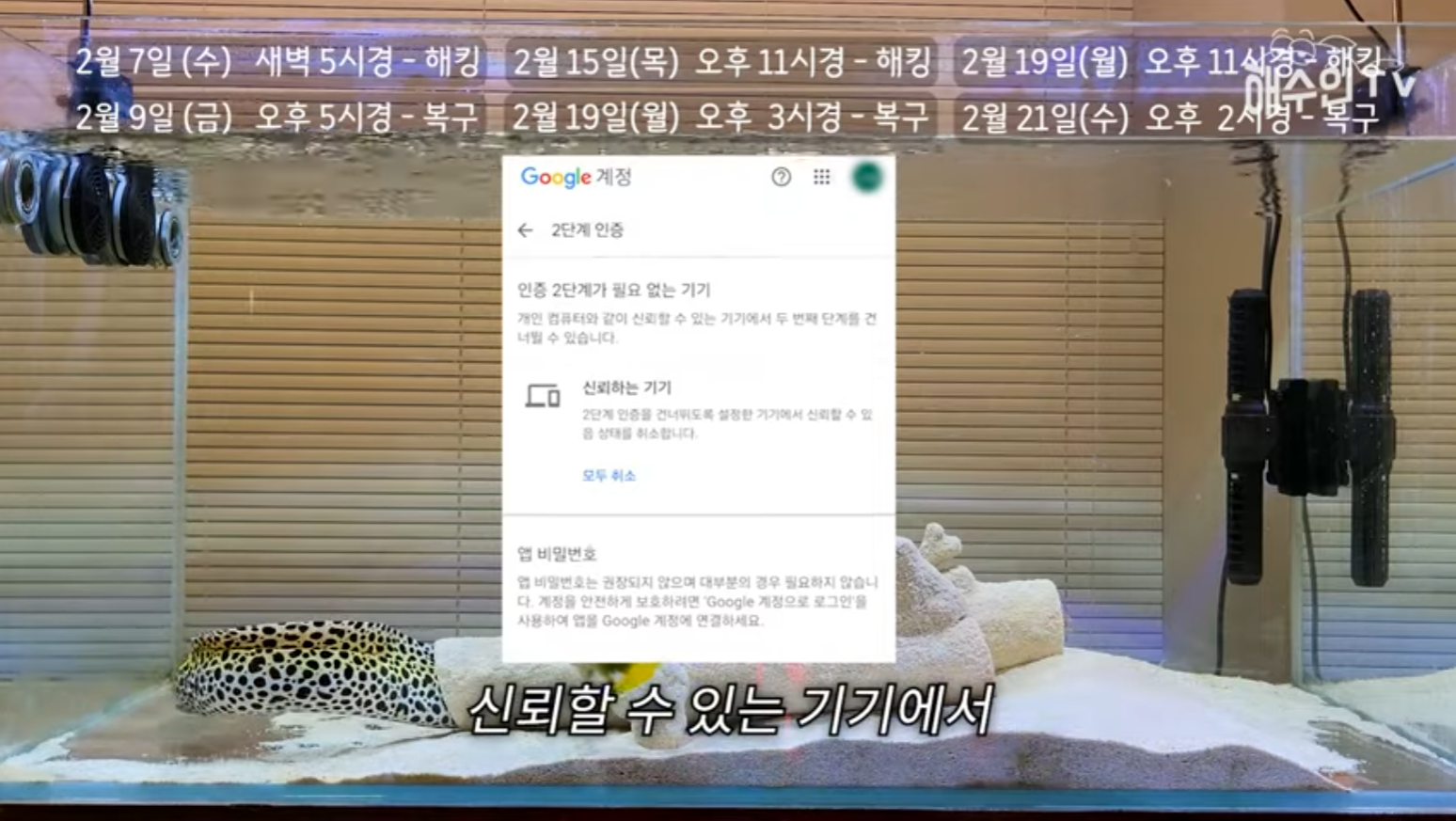 유튜브 계정이 3번이나 해킹 당한 이유 | 인스티즈