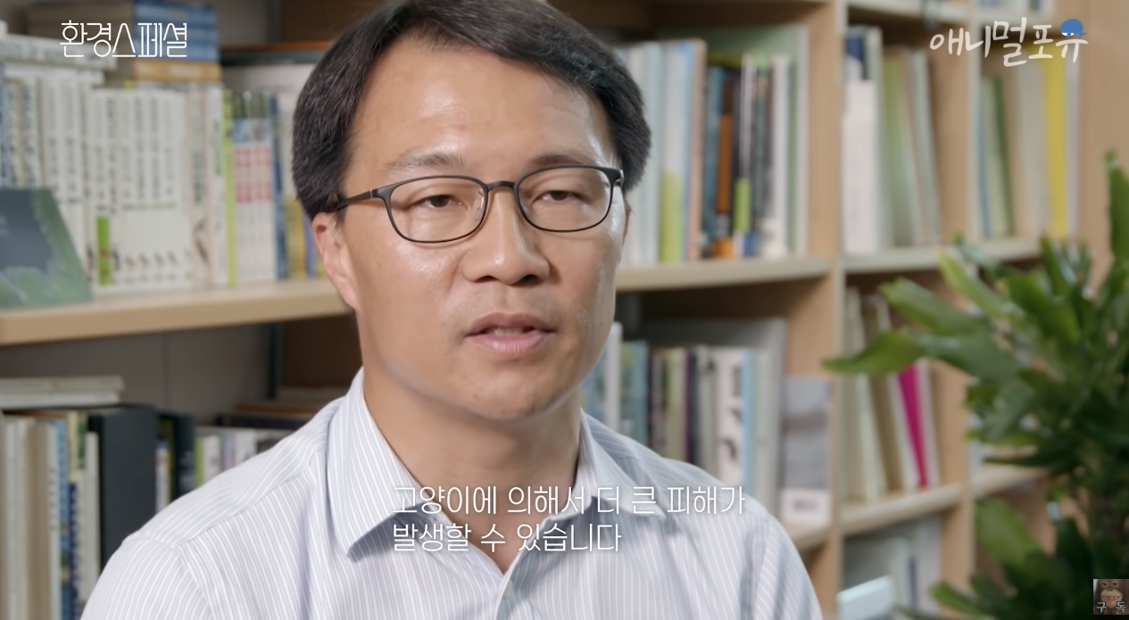 일부 몰지각한 캣맘들은 이 악물고 모른척하는 내용.jpg | 인스티즈