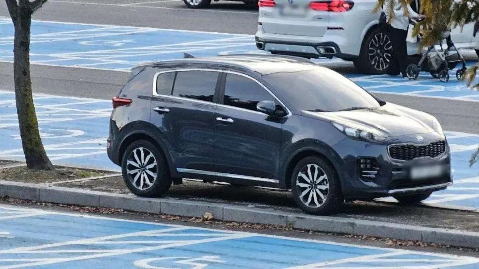 무개념 주차가 많은 서울대공원 주차장 | 인스티즈