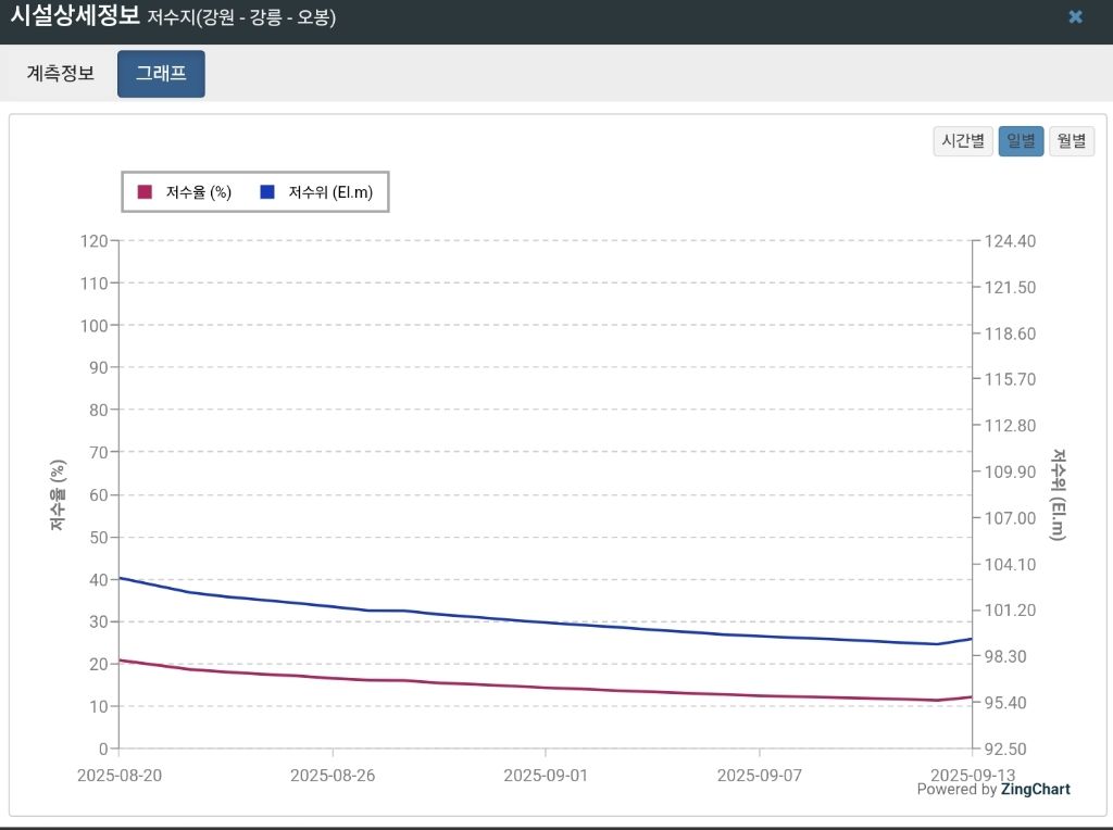 비 100mm 내린 강릉 근황 | 인스티즈