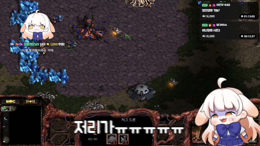 스타 초보방에 진짜 초보가 들어가면 생기는 일 | 인스티즈