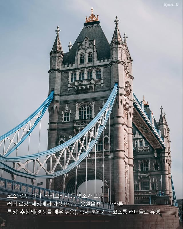 세계 7대 마라톤 | 인스티즈