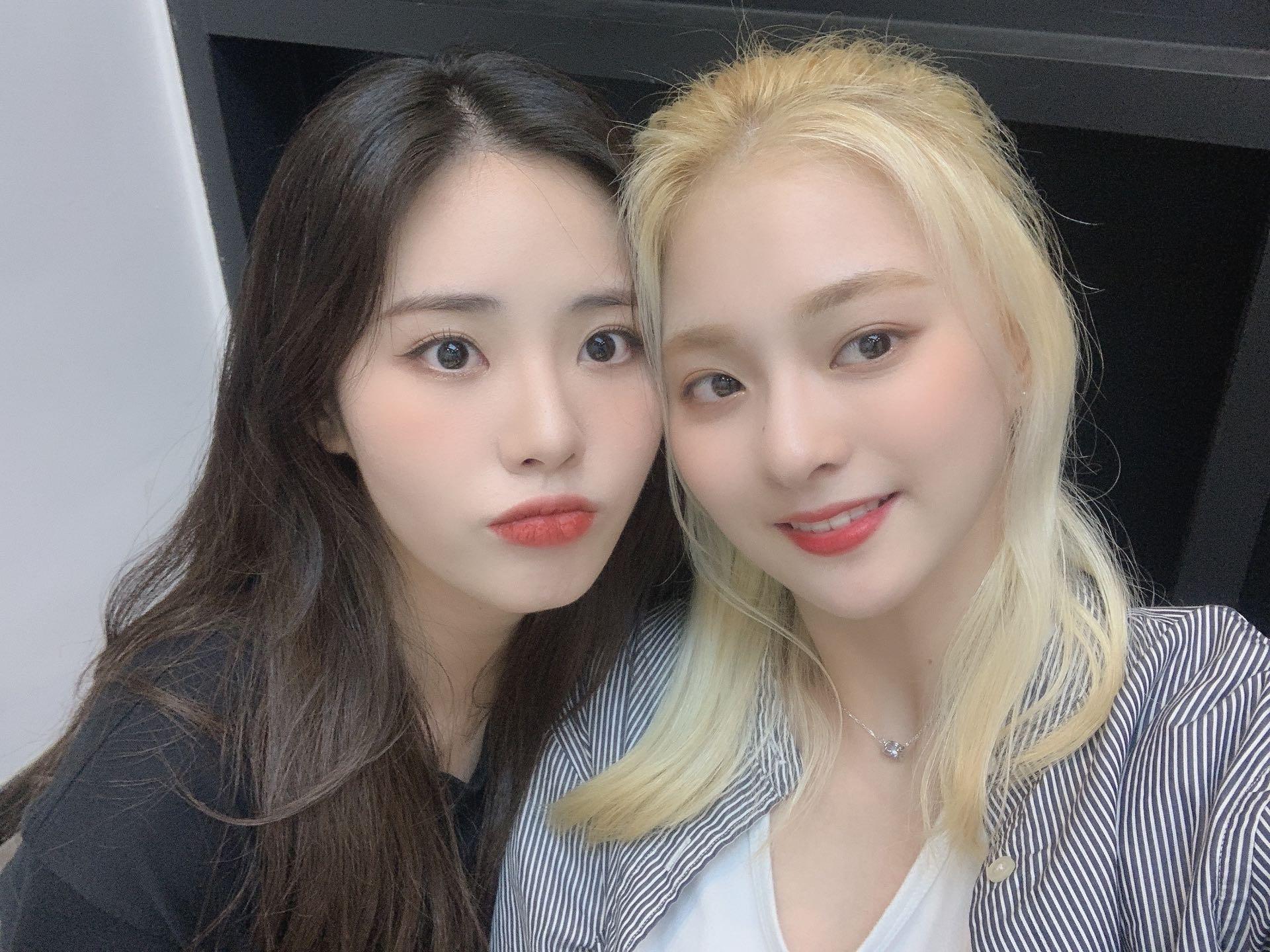 V라이브 채널에 올라온 프로미스나인 총 정리 2탄 | 인스티즈