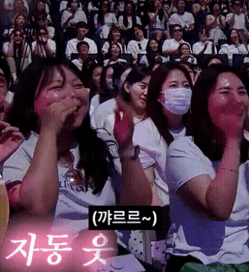 속출하는 박보검의 칸타빌래 피해자들 | 인스티즈