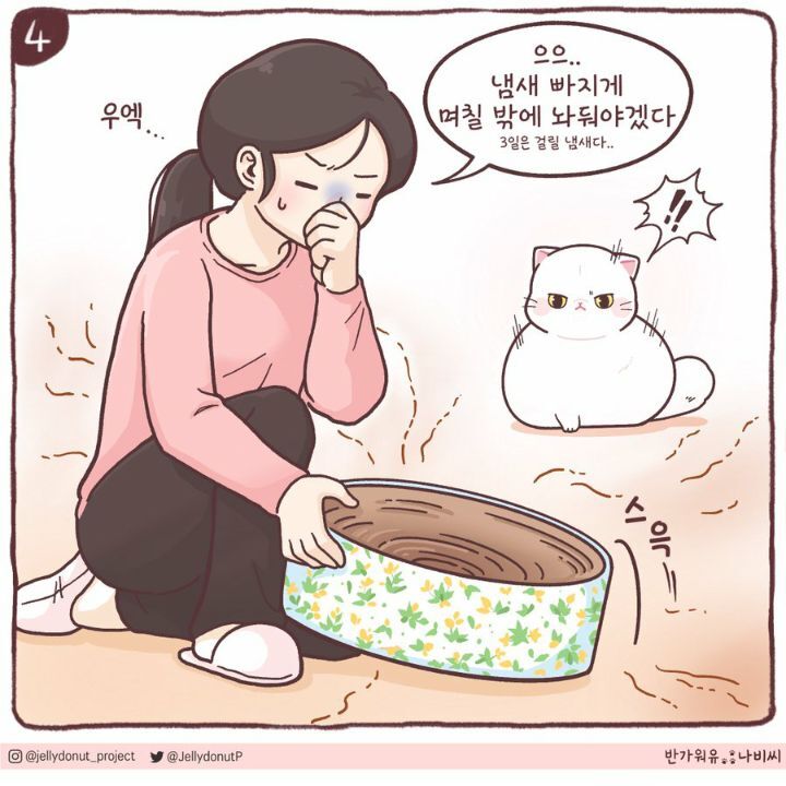 고양이에게서 지독한 냄새가 난 이유 | 인스티즈