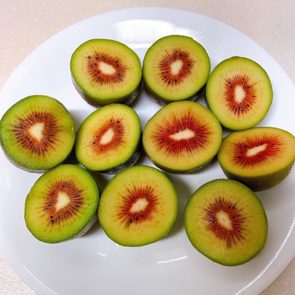 무화과랑 키위를 합쳐서 만들었다는 과일........jpg - 유머|짤방 게시판 - □ 코인천사 - 비트코인 | 블록체인 세상 □