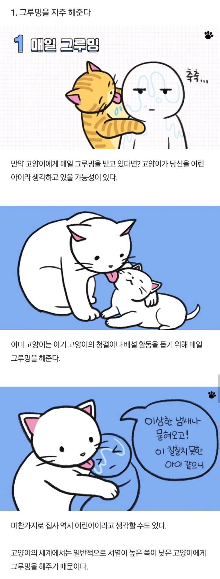 고양이가 하는 행동들 | 인스티즈