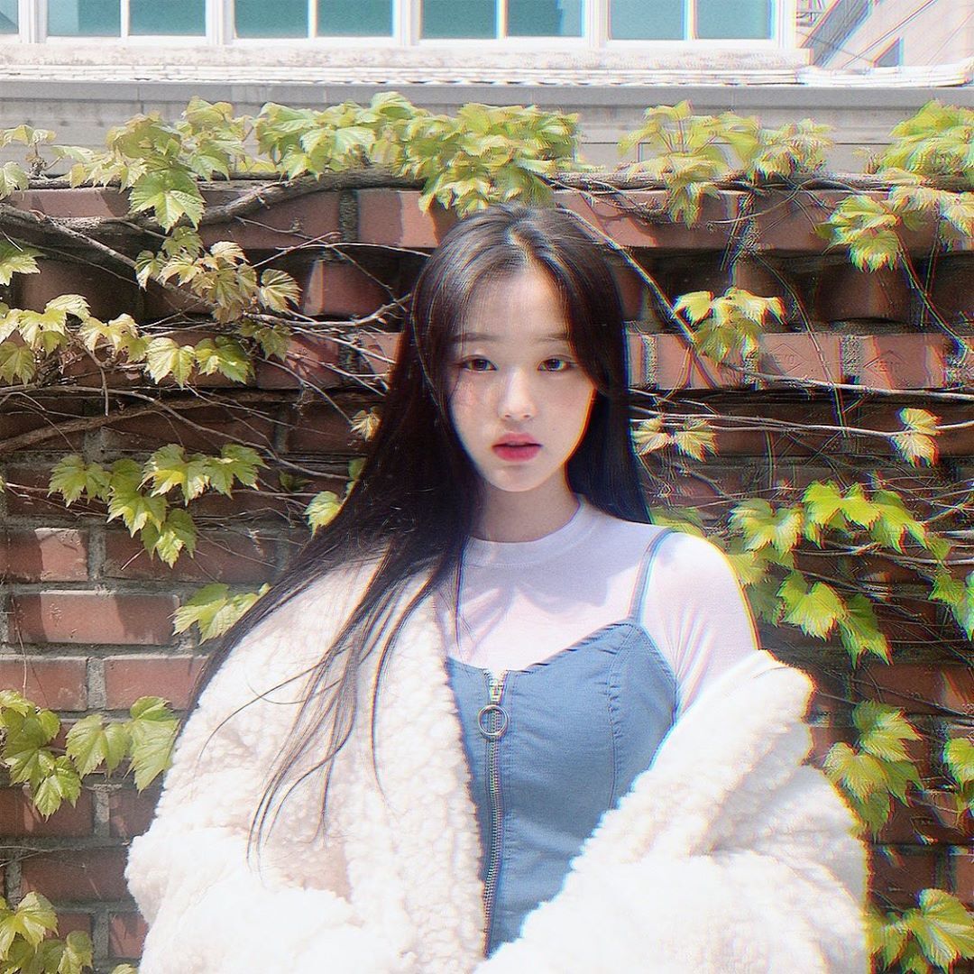 복실복실한걸 너무 좋아하는 아이브 장원영 | 인스티즈