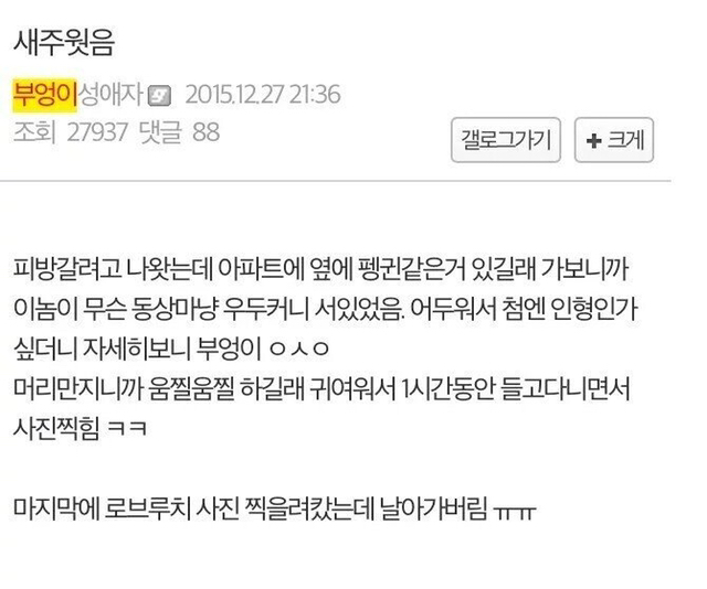 새줍하고 한시간동안 사진찍힌 디시인.jpg | 인스티즈