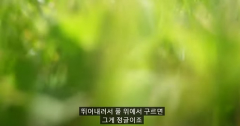 어린 시절 했던 게임 다시하는 이유.jpg | 인스티즈