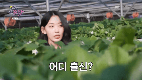 일본 오사카 사람 특징.GIF | 인스티즈