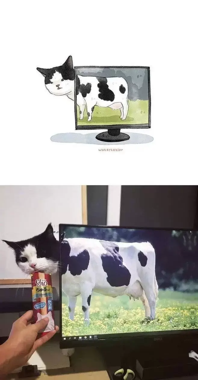 커여운 고양이 그림 | 인스티즈