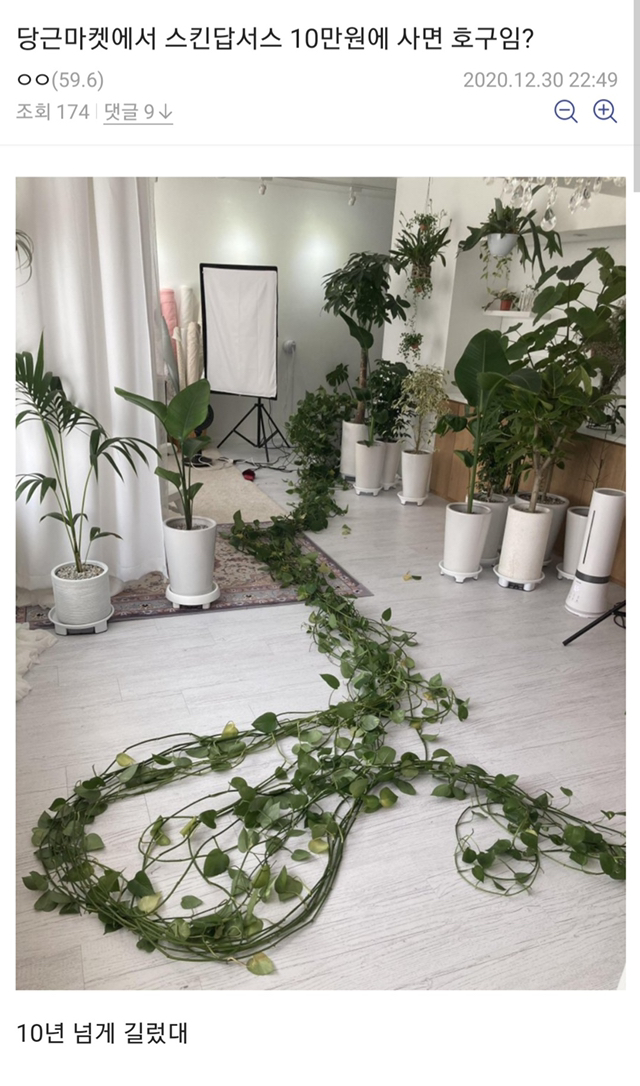 0dc0b9507d3971a1e79e259db8664ee4498b7ab9