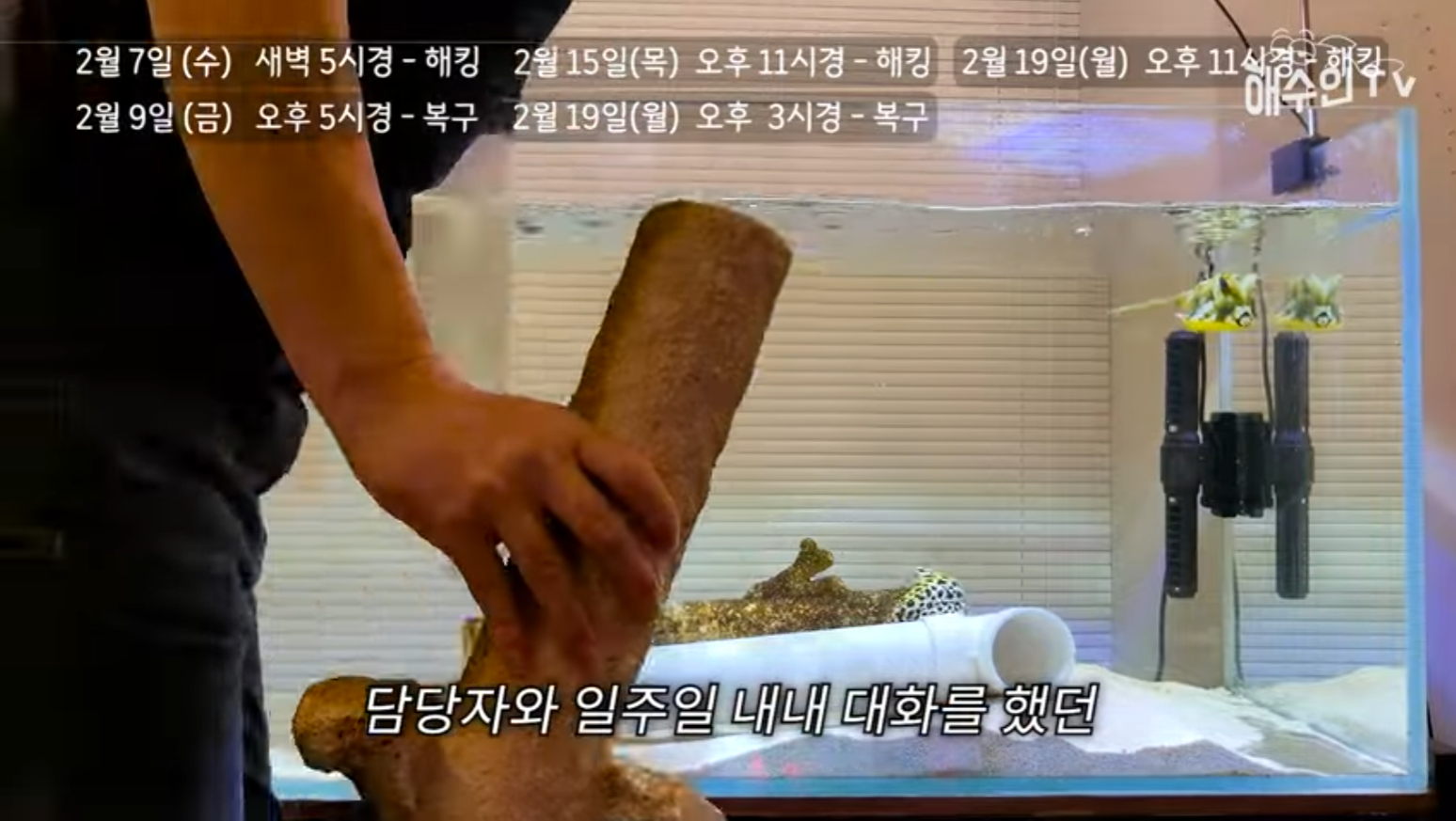 유튜브 계정이 3번이나 해킹 당한 이유 | 인스티즈