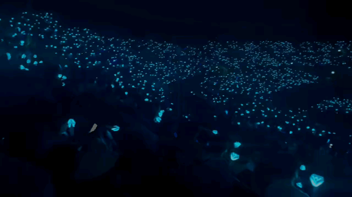 훈훈한 임영웅 콘서트 후기 | 인스티즈