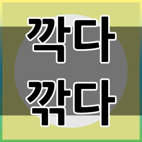 Daum 카페
