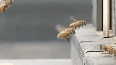 3대 항공 사고.GIF | 인스티즈