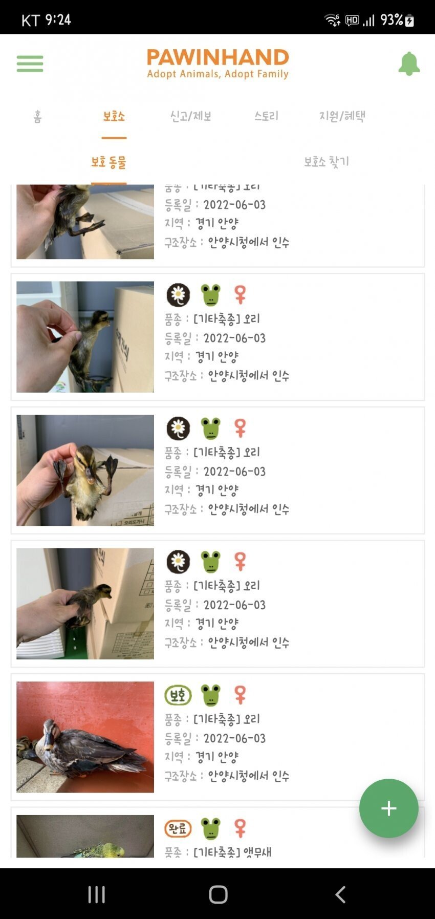 오리가족 납치 | 인스티즈