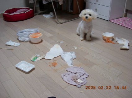 0e6fd6dab8dcec9d65b6b3d9b0f130b27cbe9dcb