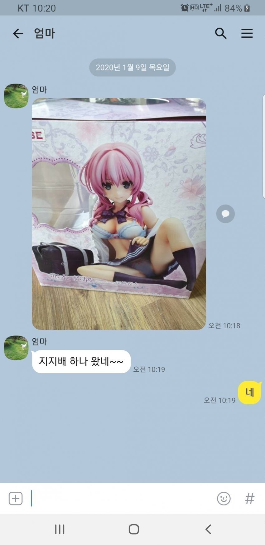 엄마한테 피규어 산거 들킴 | 인스티즈