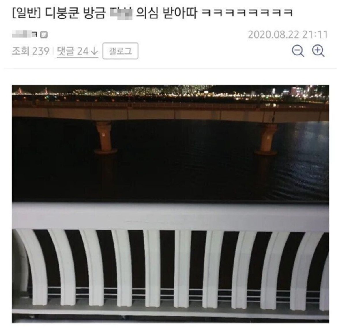 한강다리에서 자살 의심 받은 디씨인 | 인스티즈