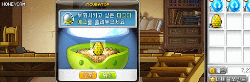 의외로 한국이 원조인것 | 인스티즈