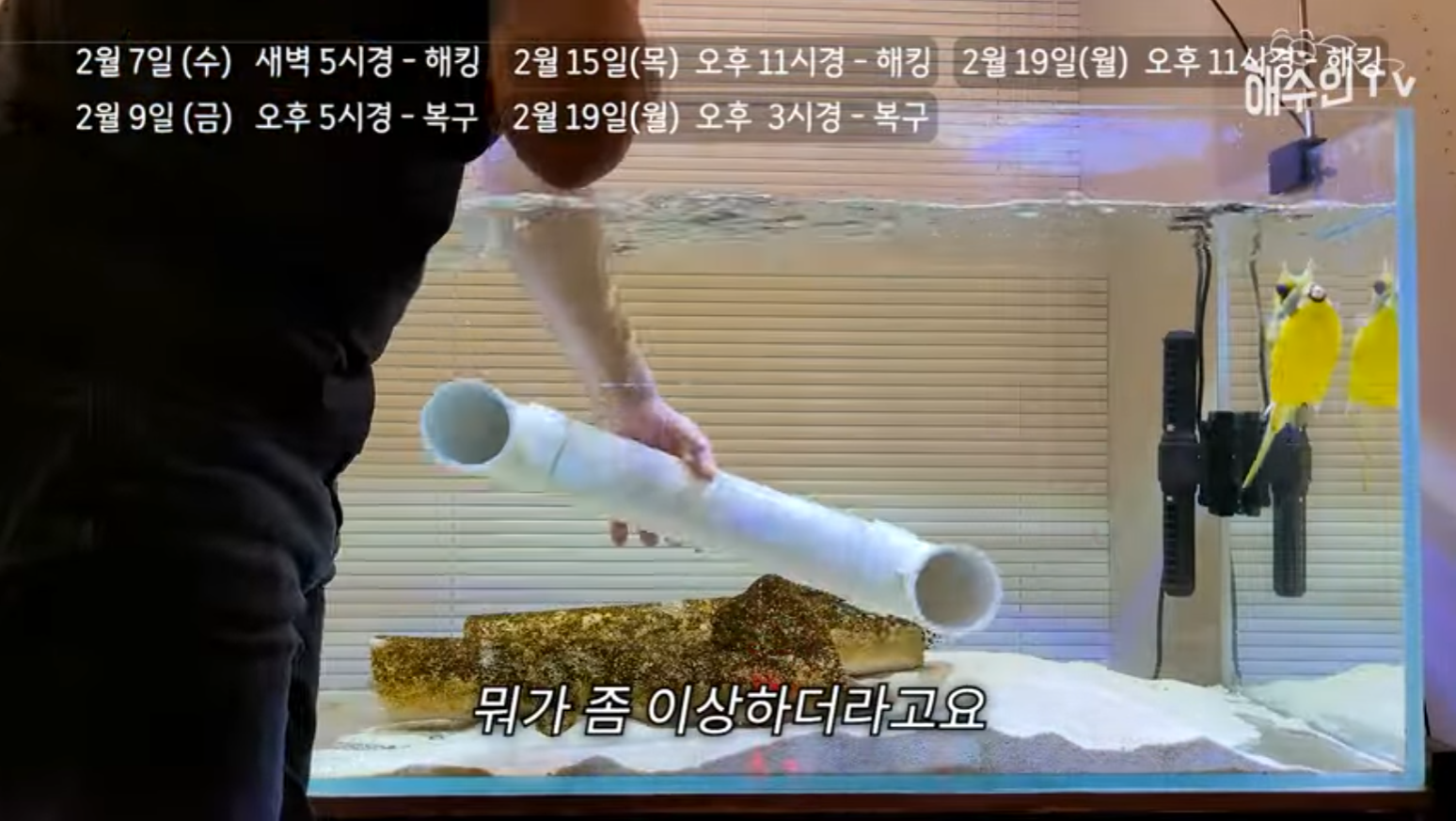 유튜브 계정이 3번이나 해킹 당한 이유 | 인스티즈